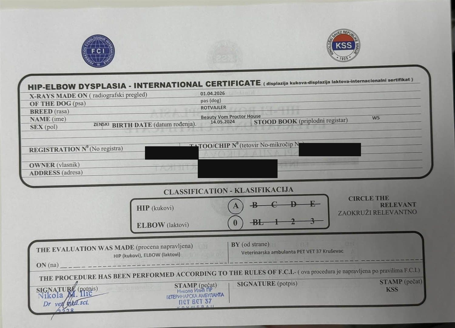 FCI/KSS hip and elbow certificate for Beauty Vom Proctor House, graded hips A and elbows 0