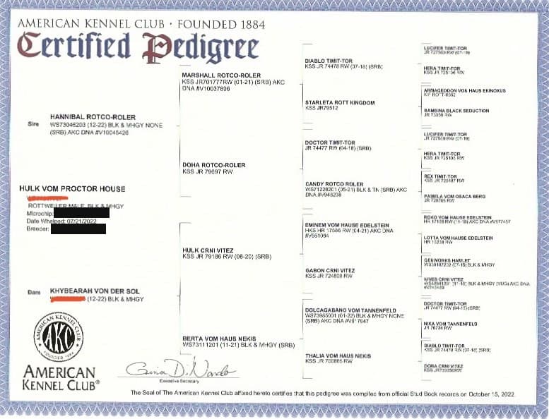 AKC certified pedigree for Hulk Vom Proctor House, showing four generations of Rotco-Roler, Crni Vitez and Timit-Tor lines