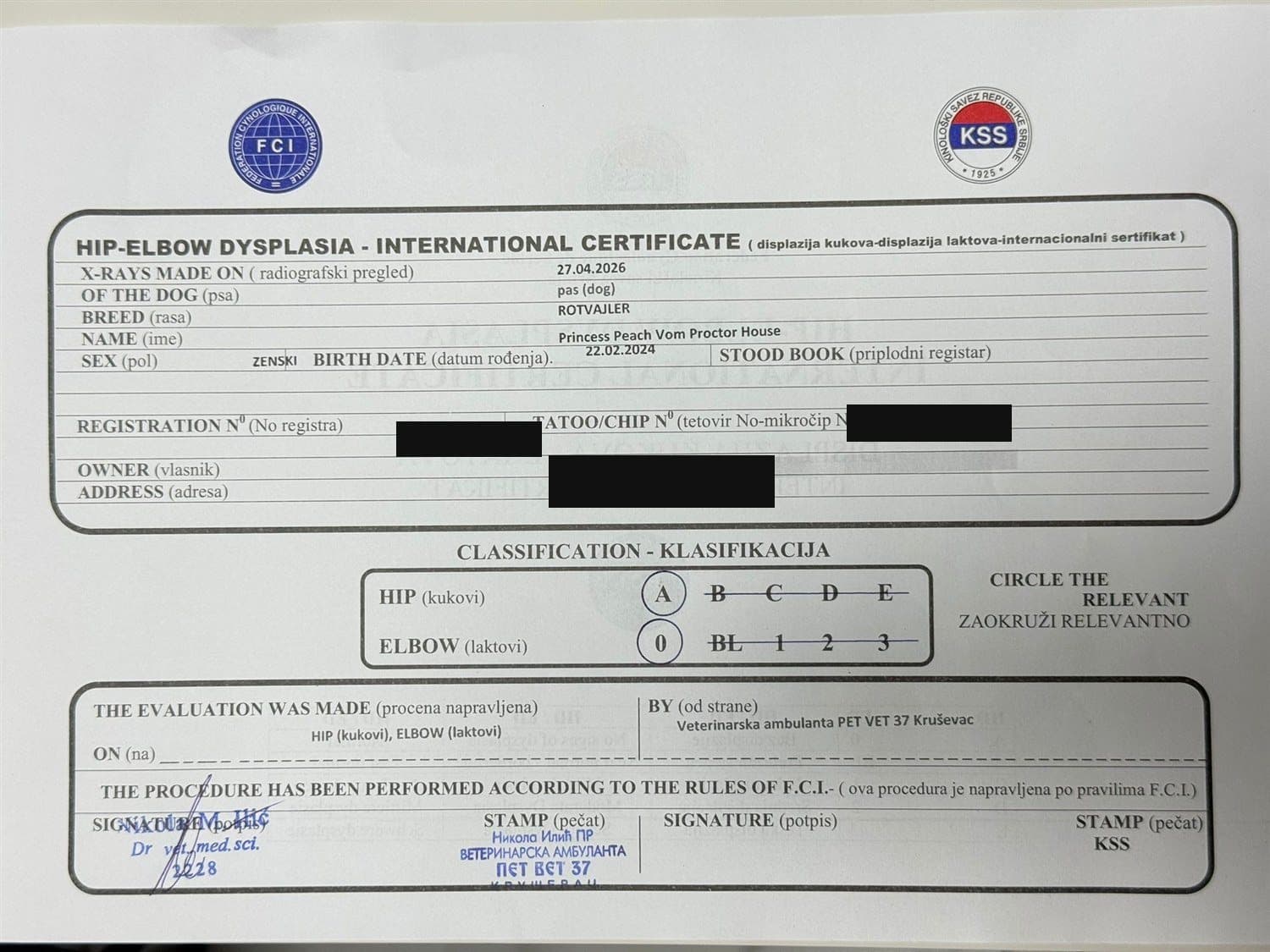 FCI/KSS hip and elbow certificate for Princess Peach Vom Proctor House, graded hips A and elbows 0