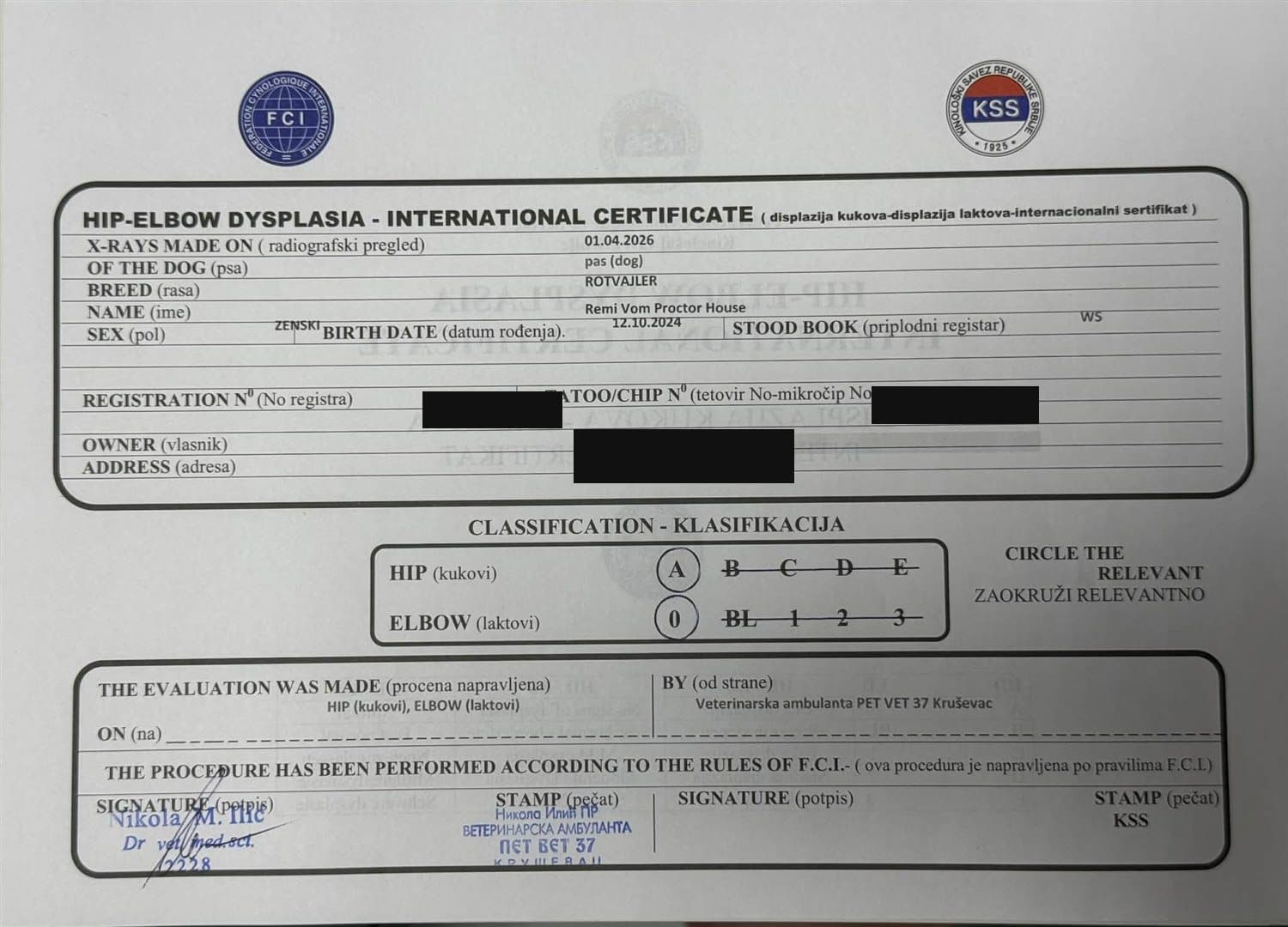 FCI/KSS hip and elbow certificate for Remi Vom Proctor House, graded hips A and elbows 0